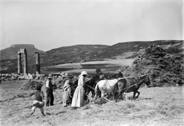 Némée, foulage du grain (Ελλάδα - Νεμέα, αλώνισμα σιτηρών)
