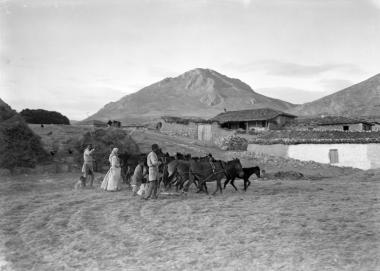 Mycènes, foulage du grain (Μυκήνες, αλώνισμα σιτηρών)
