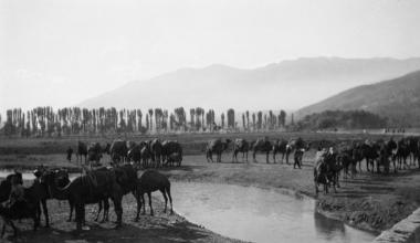 Asie Mineure – Brousse, caravane au repos, au fond l’ Olympe (Μικρά Ασία – Προύσα, καραβάνι σε ανάπαυση, στο βάθος ο Όλυμπος)