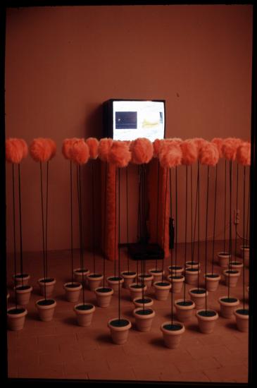 Μυστικός κήπος