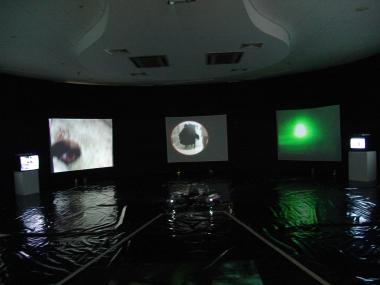 Η σφαγή των αμνών