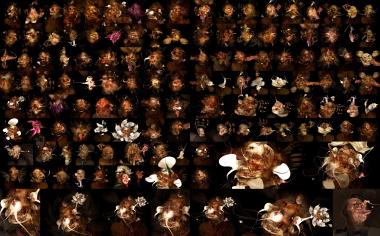 Grimaces Competition