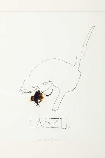 Laszu