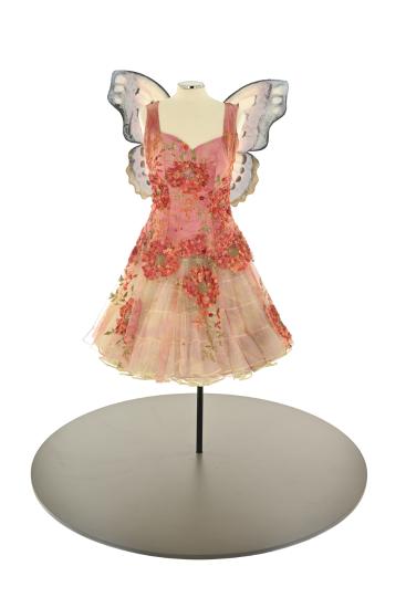 Υπηρέτης Αγάθωνα