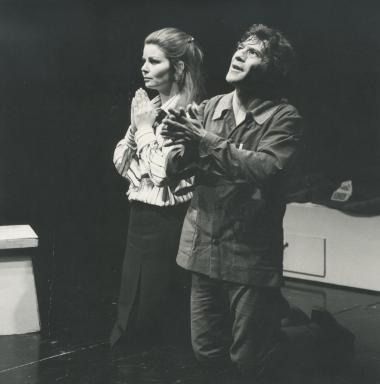 Χηνάς Φάνης