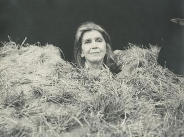 Φωτογραφία από την παράσταση 