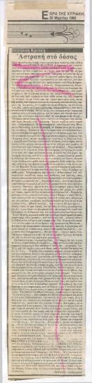 Thunderbolt in the Forest