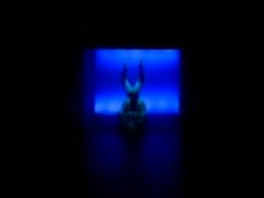 Video recording from the play 