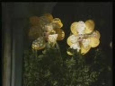 Part of video recording from the play 