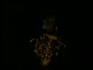 Τμήμα μαγνητοσκόπησης από την παράσταση 