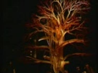 Part of video recording from the play 