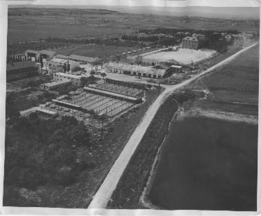 Photo of Aerial View, 1956