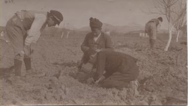 Students planting trees, 2