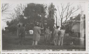 Students pruning tree