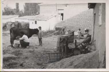 Χωρικοί που φροντίζουν τα οικόσιτα ζώα τους