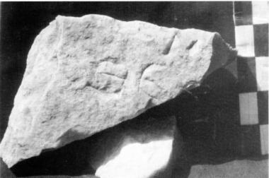 ILeukopetra 171: Ανάθημα στην Μητέρα των Θεών.