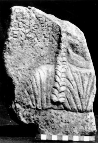 ILeukopetra 156: Dedication to the Mother of the Gods of
            the Mountains.