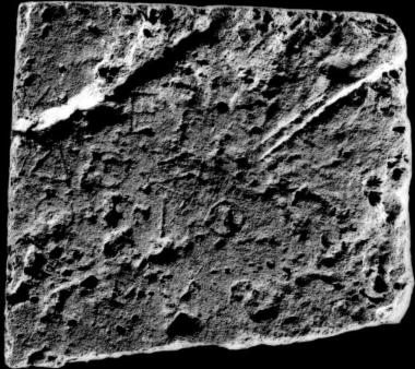 IThrAeg E107: Όρος του τεμένους της Αθηνάς και του Διός Ορίου