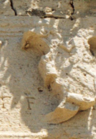 Coat-of-arms of the house of Moro