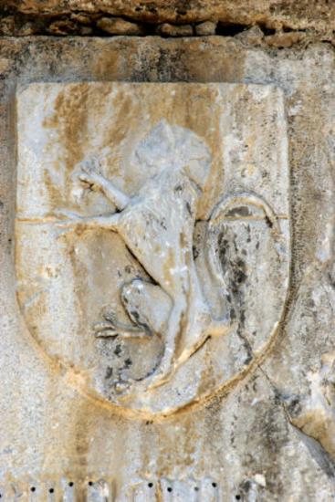 Coat-of-arms of the house of Carmadino
