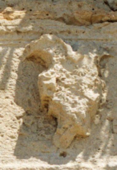 Coat-of-arms of the Barbarigo family