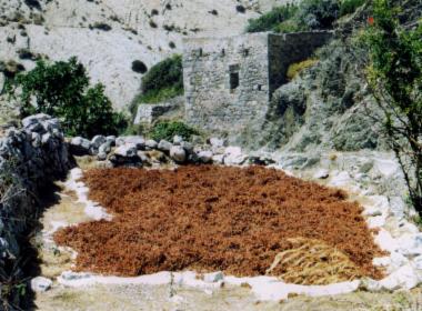 Βυρσοδεψείο -  Πρεάρης Γιάννης