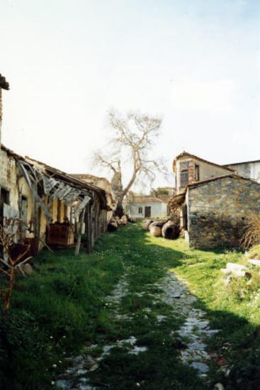 Ελαιοτριβείο  -  Χατζηγιαννάκης Βασίλειος