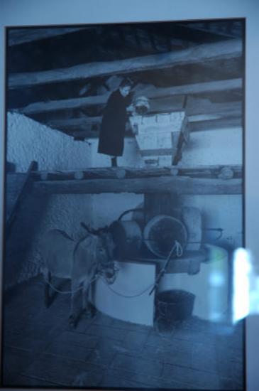 Ελαιοτριβείο -  Ελαιοτριβείο το 