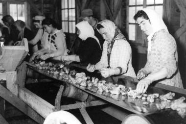 Μεταλλεία βαρύτη -  ΜΥΚΟΜΠΑΡ ΑΕ