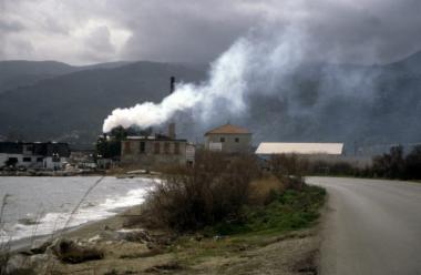 Πυρηνελαιουργείο -  Κουρτζής