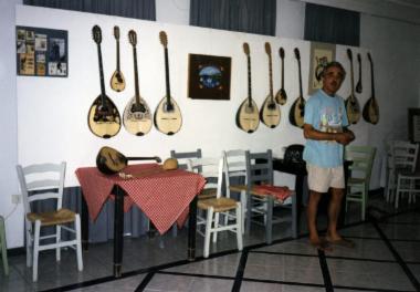 Κατασκευή μουσικών οργάνων - Παπανικολάου Παύλος