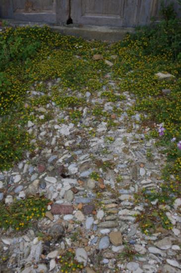 Οινοποιείο -  Καρνάζογλου