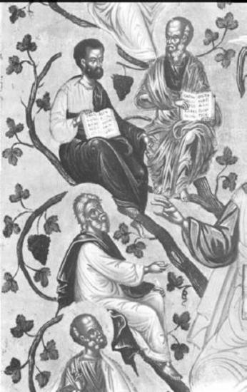 Χριστός η Άμπελος