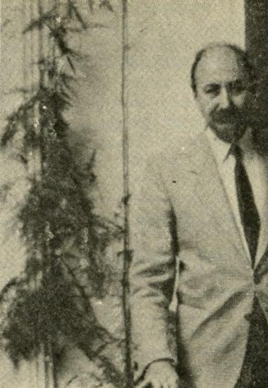 Αλαβέρας Τηλέμαχος