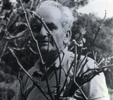 Ξενάκης Κοσμάς