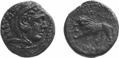 Bronze coin of the Macedonian kingdom, Ruler: Cassander