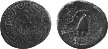 Bronze coin of the Macedonian kingdom, Ruler: Antigonos Gonatas