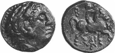 Bronze coin of the Macedonian kingdom, Ruler: Antigonos Gonatas