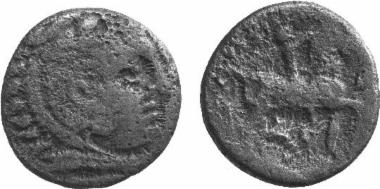 Χάλκινο νόμισμα Μακεδονικού βασιλείου, Βασιλιάς: Κάσσανδρος