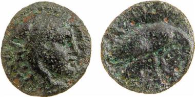 Bronze coin of the Macedonian kingdom, Ruler: Amyntas III