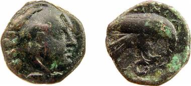 Bronze coin of the Macedonian kingdom, Ruler: Amyntas III