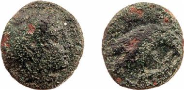 Χάλκινο νόμισμα Μακεδονικού βασιλείου, Βασιλιάς: Αμύντας Γ'