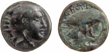 Χάλκινο νόμισμα Μακεδονικού βασιλείου, Βασιλιάς: Αμύντας Γ'