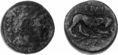 Bronze coin of the Macedonian kingdom, Ruler: Perdikkas III