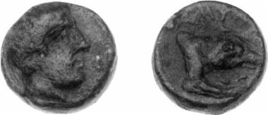 Χάλκινο νόμισμα Μακεδονικού βασιλείου, Βασιλιάς: Αμύντας Β'