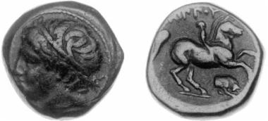 Χάλκινο νόμισμα Μακεδονικού βασιλείου, Βασιλιάς: Φίλιππος Β'