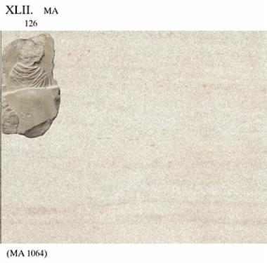 Η Ζωφόρος του Παρθενώνα. Λίθος Ν XLII