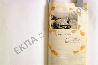 Συλλογή λαογραφικής ύλης εκ της νήσου Αλοννήσου, της επαρχίας Σκοπέλου, του νομού Μαγνησίας.