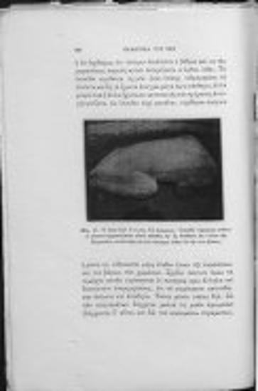 Ανασκαφή Θεσπικού Πολυάνδρου του 424 π.Χ.