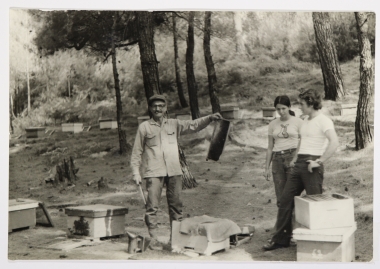 In beehives, 1970s, personal archive of G. Karydas